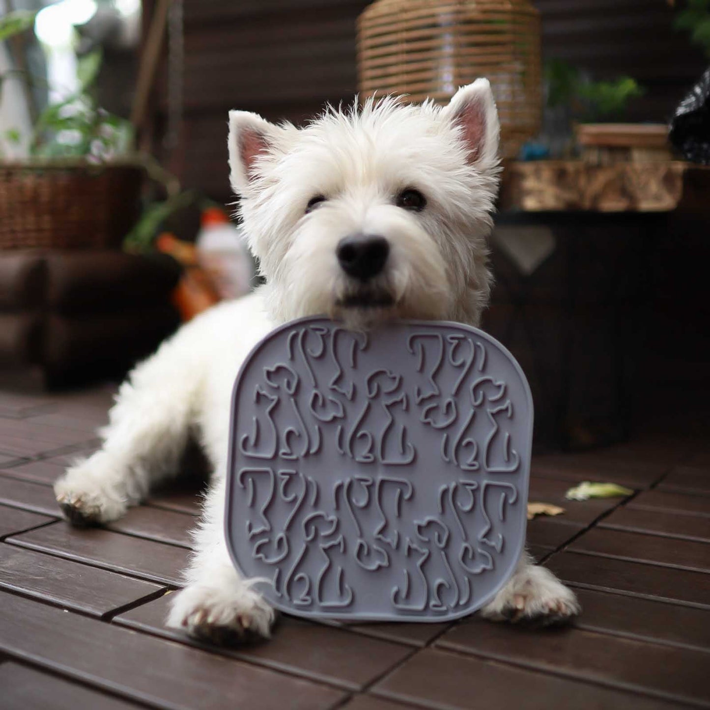 Lollipopp Slickmatta, 19cm - Reactive K9