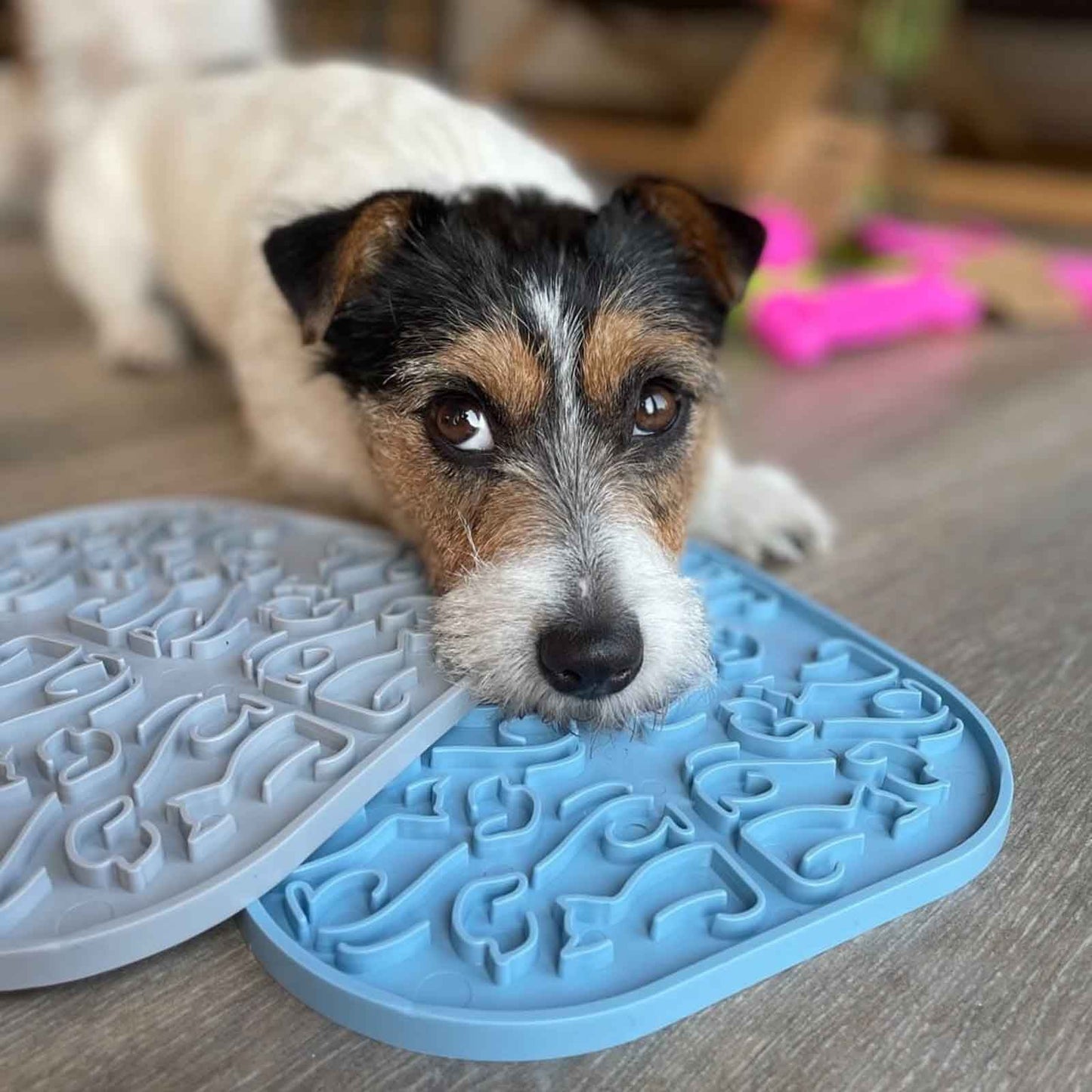 Lollipopp Slickmatta, 19cm - Reactive K9