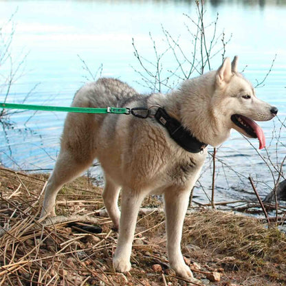 Antiglid - koppel, RESCUE Svart - 1,5 cm - Reactive K9