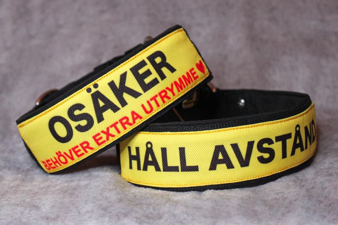 LIMITED EDITION Halsband Large- HÅLL AVSTÅND - Reactive K9