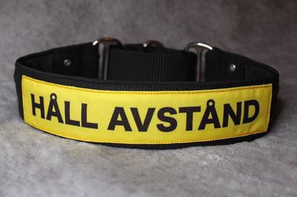 LIMITED EDITION Halsband Large- HÅLL AVSTÅND - Reactive K9